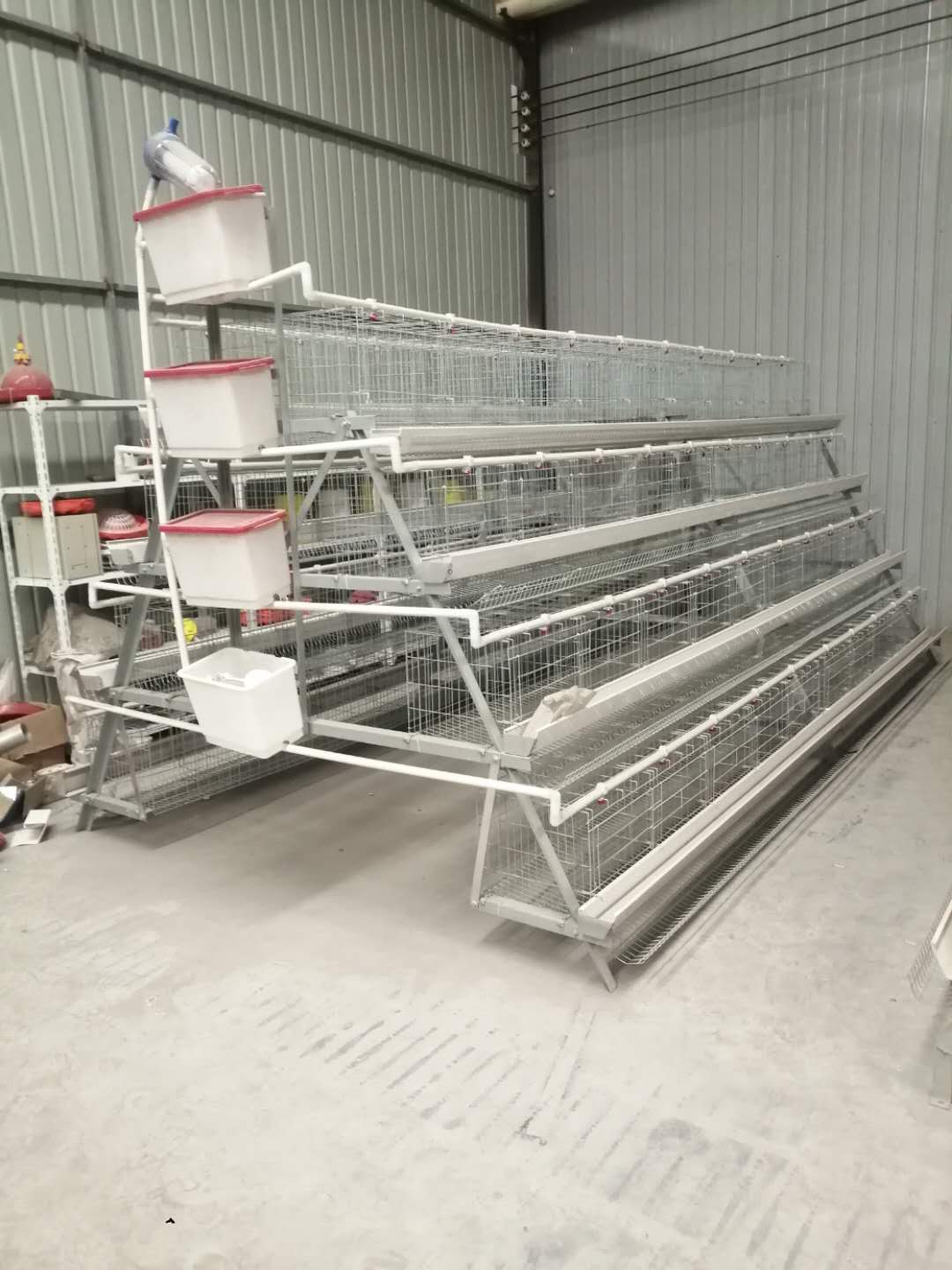 chicken layer cage
