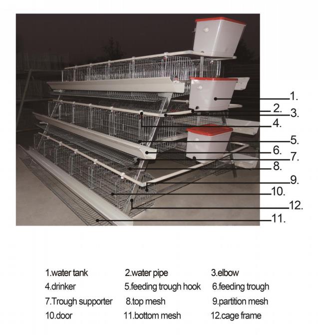 chicken layer cage