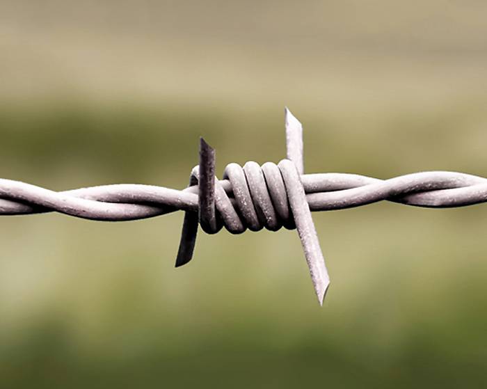 barbed wire